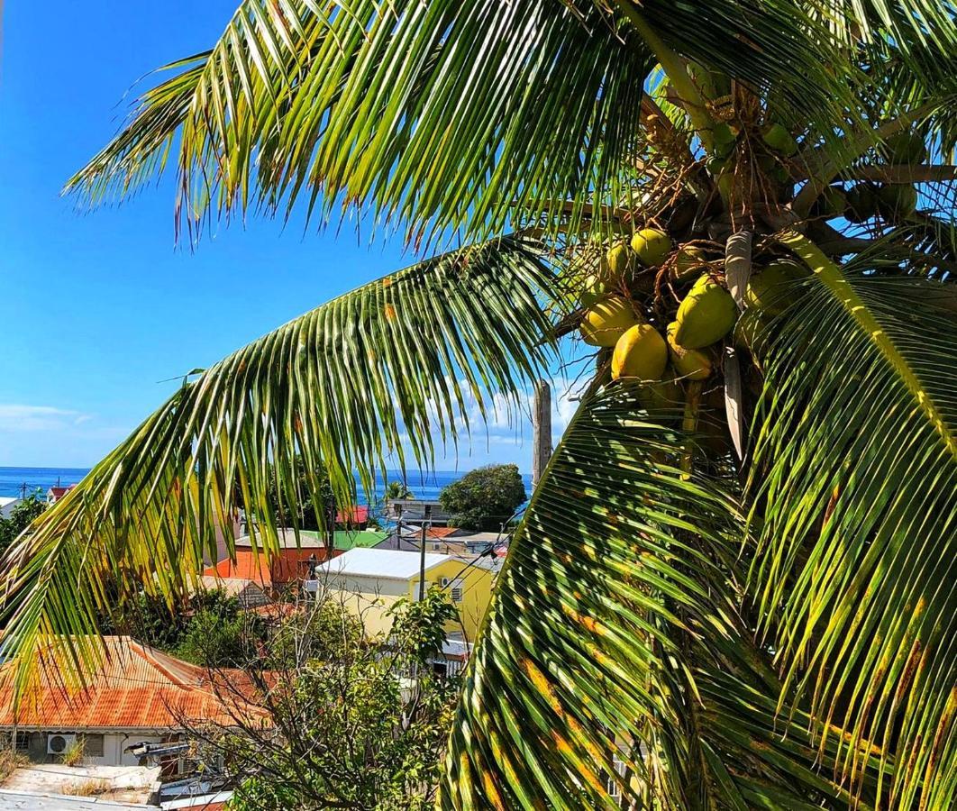 Le Balisier Saint-Francois (Grande-Terre) Exterior foto