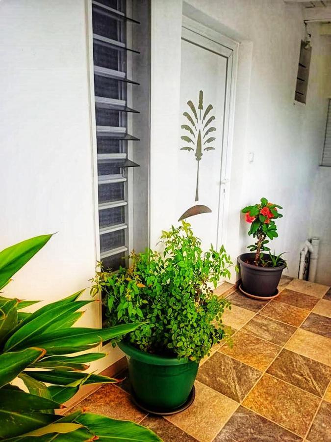 Le Balisier Saint-Francois (Grande-Terre) Exterior foto